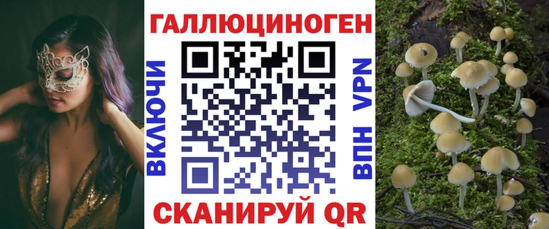 Псилоцибиновые грибы Psilocybine cubensis  Михайловка 