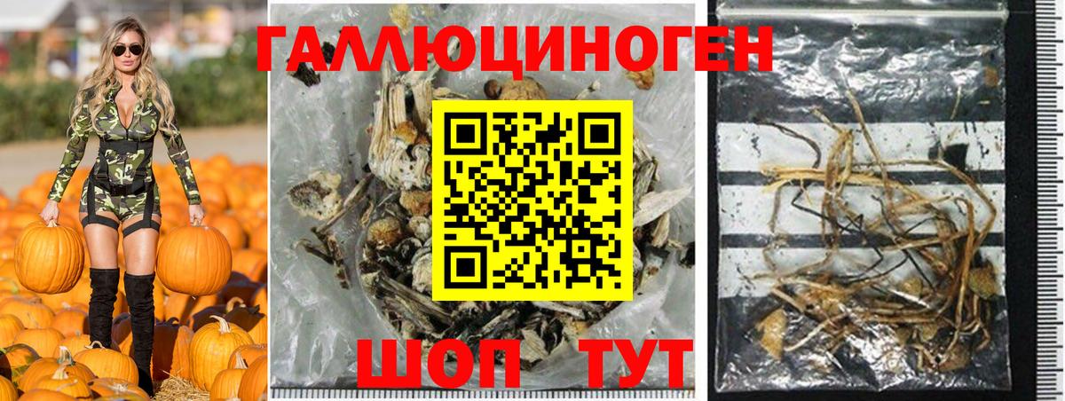 Псилоцибиновые грибы GOLDEN TEACHER Михайловка