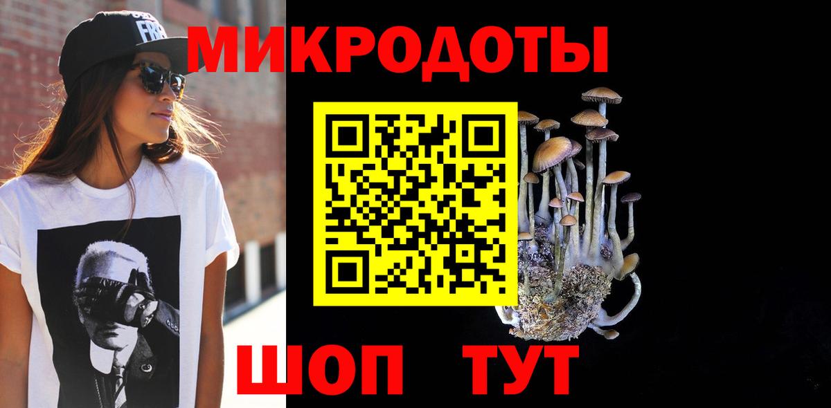 Псилоцибиновые грибы Psilocybine cubensis  Михайловка  закладки  Псилоцибиновые грибы GOLDEN TEACHER 