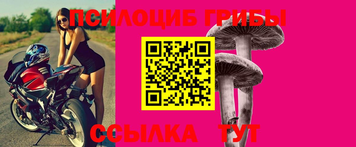 Михайловка  Псилоцибиновые грибы Psilocybine cubensis  Вход с VPN  Псилоцибиновые грибы Psilocybine cubensis 